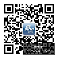 电竞战队阵,容调整,战队新成员,开云体育赞助,体育赞助,品牌提升,赛事合作,体育营销,赞助活动,市场推广