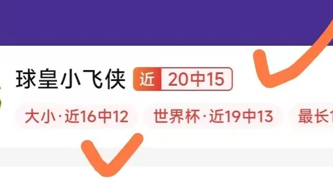 开云体育赞助 105901