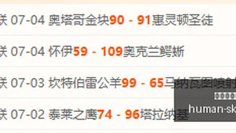 开云体育赞助，体育营销， 110231 13